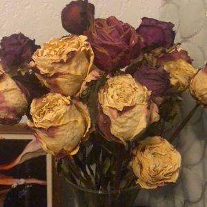 Meet your Posher, Lyu